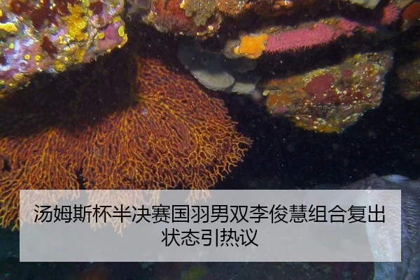tang-mu-si-bei-ban-jue-sai-guo-yu-nan-shuang-li-jun-hui-zu-he-fu-chu-zhuang-tai-yin-re-yi-2-513.jpg