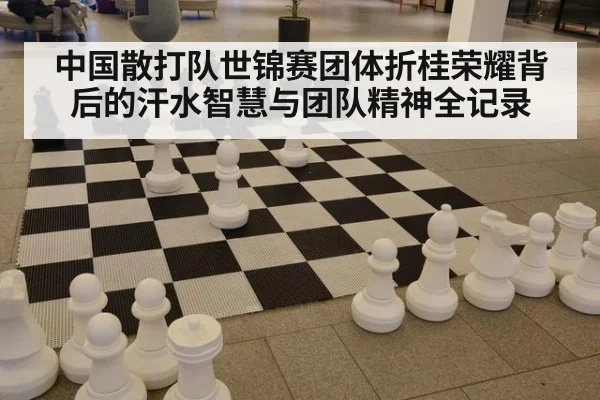 中国散打队世锦赛团体折桂荣耀背后的汗水智慧与团队精神全记录